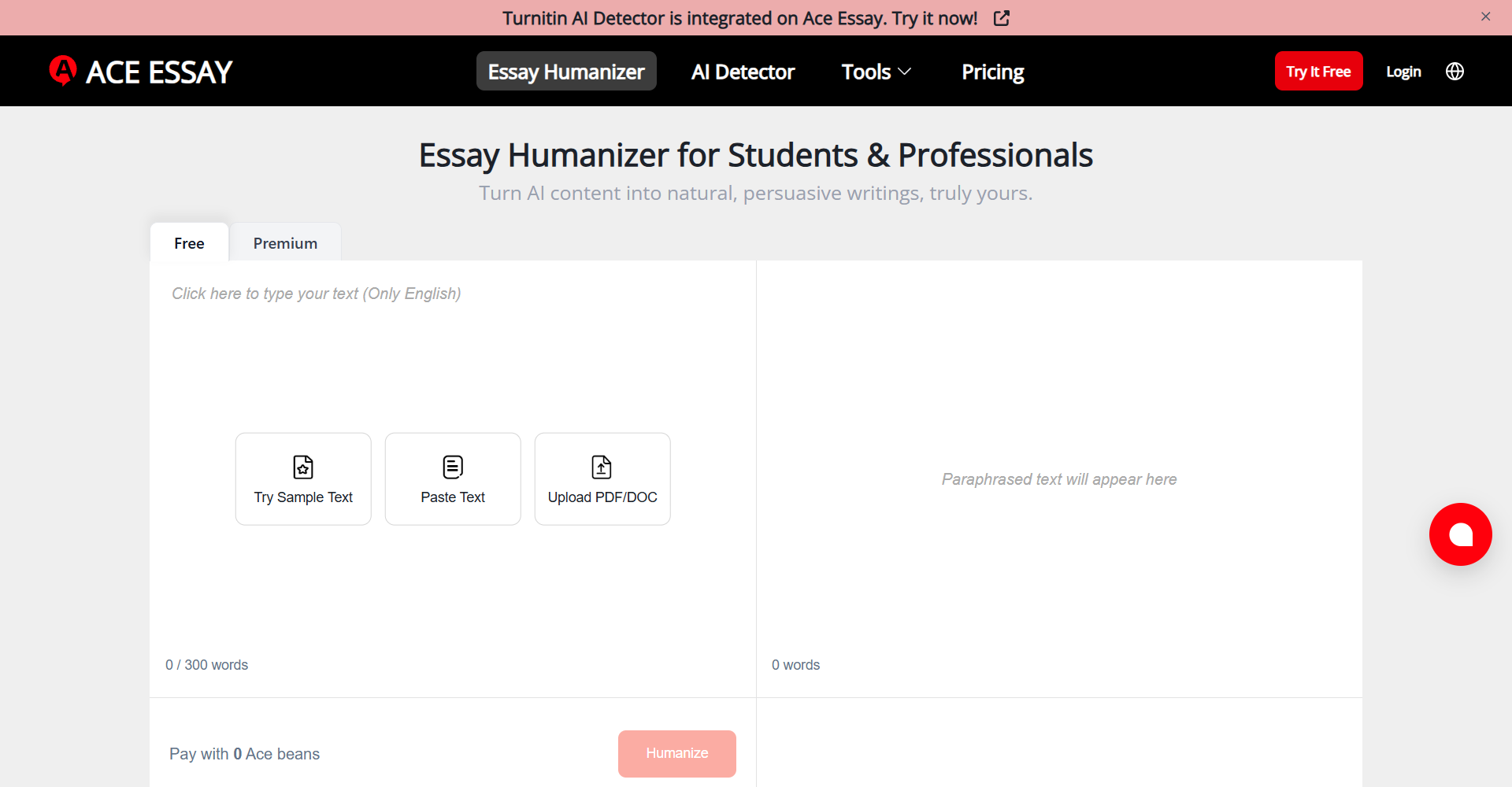 Ace Essay