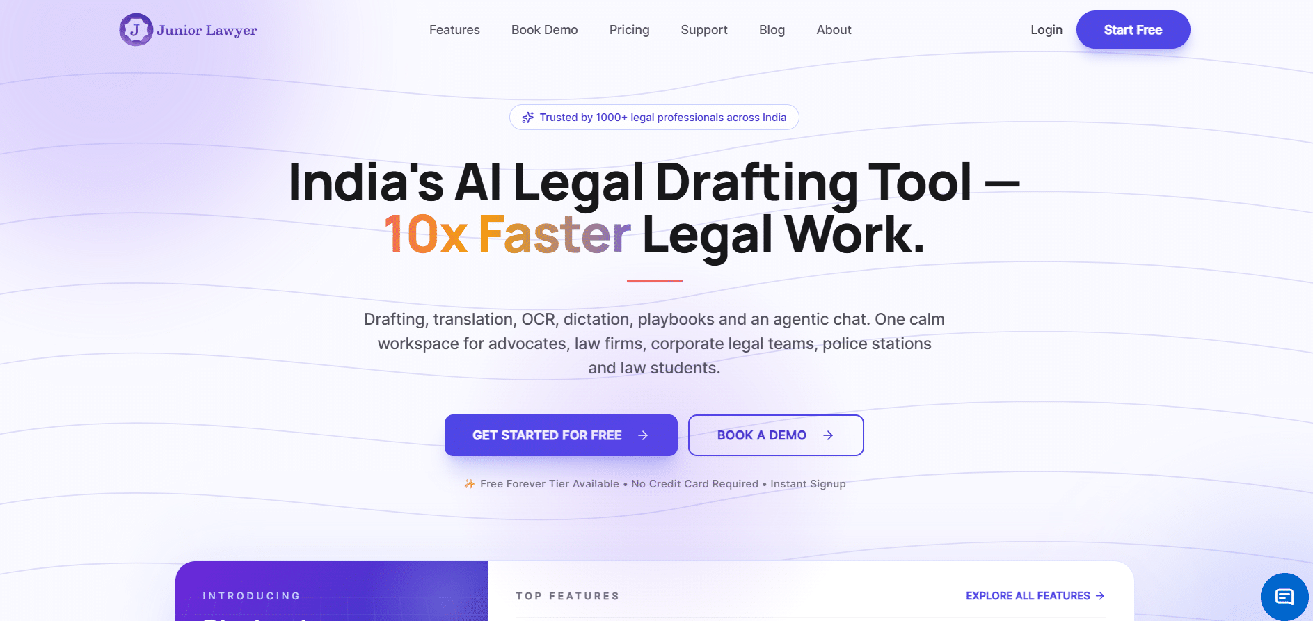 Junior Lawyer